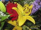 mejor fragancia floral